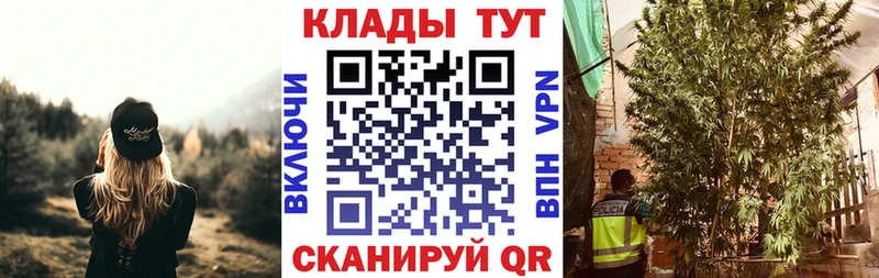 Все наркотики Кораблино МЕТАМФЕТАМИН  Конопля  OMG как зайти  COCAIN 