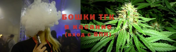гашик Корсаков
