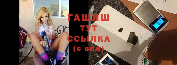 гашик Корсаков