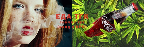 гашик Корсаков