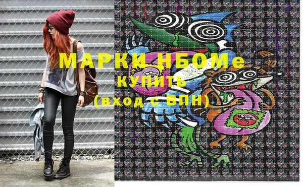 гашик Корсаков