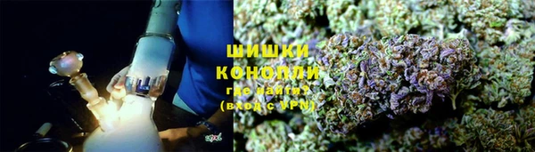 гашик Корсаков