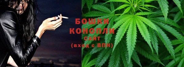 гашик Корсаков