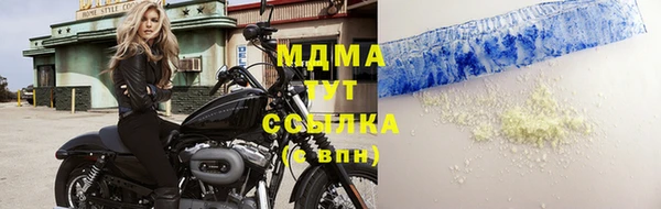 гашик Корсаков