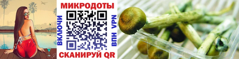 купить наркоту  Кораблино  Псилоцибиновые грибы прущие грибы 